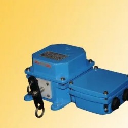 Pull Cord Switch With Terminal Block